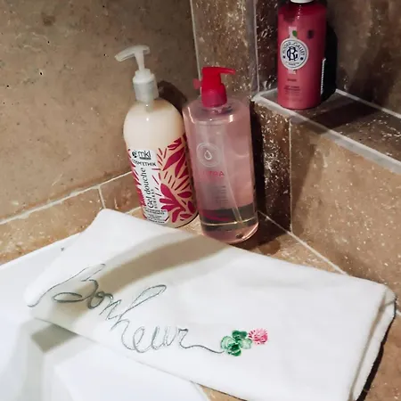 Chateau Duplex Et Parking Appartement *