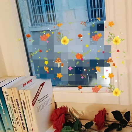 Appartement Chateau Duplex Et Parking *