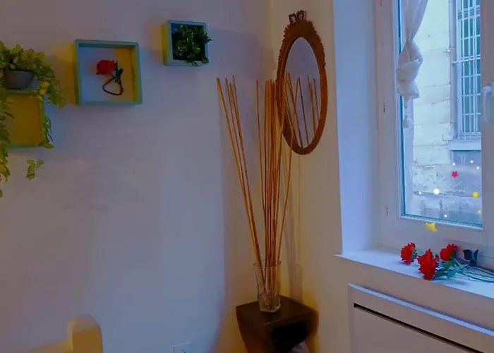 Appartement Château Duplex Et Parking