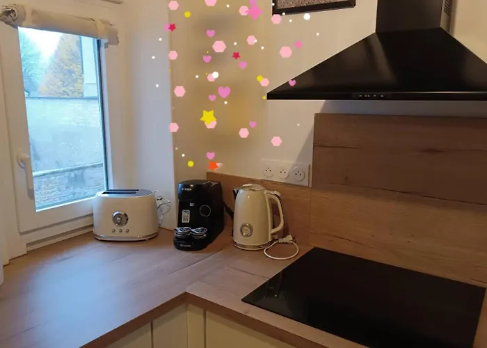 Château Duplex Et Parking Appartement *