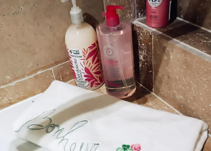 Château Duplex Et Parking Appartement