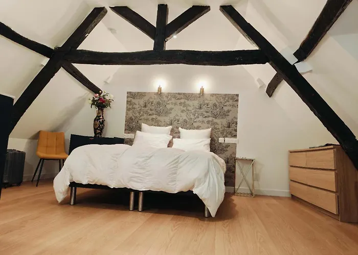 Appartement Château Duplex Et Parking Compiègne